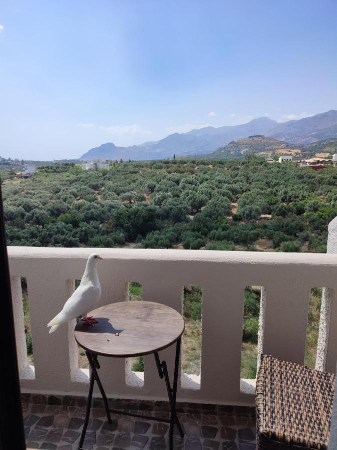 Natural Green Apartment 丹诺尼 外观 照片