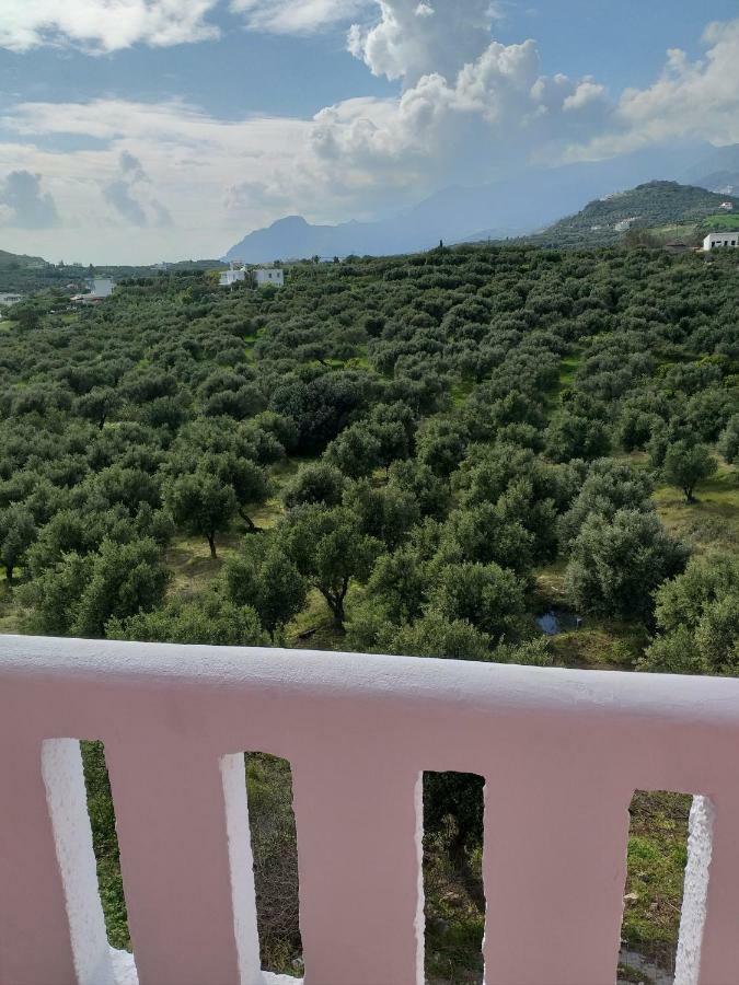 Natural Green Apartment 丹诺尼 外观 照片